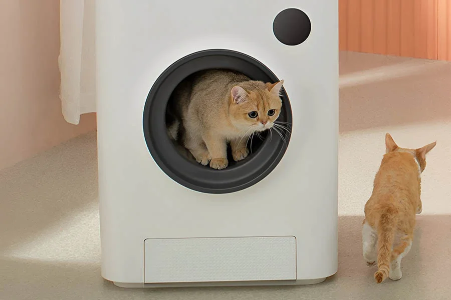 automatic litter box for multiple cats