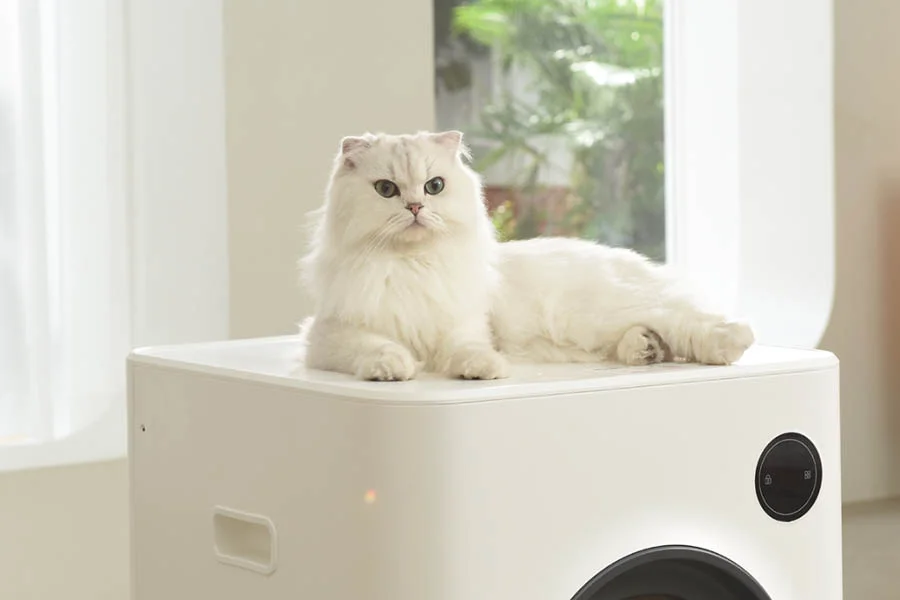 automatic cat litter box reviews