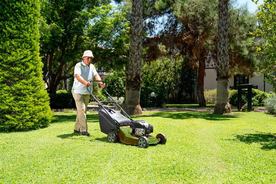 best self propelled battery powered lawn mower